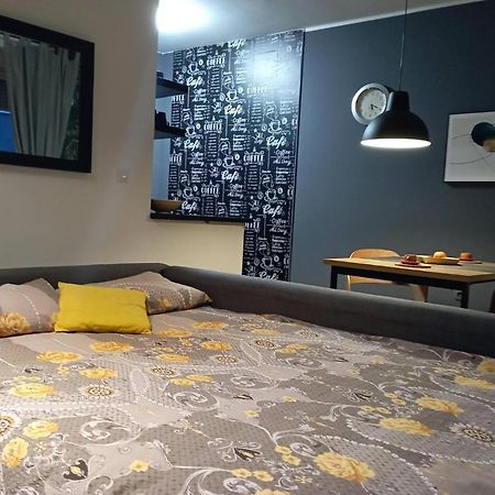 Sun Center Apartment โนวีซาด ภายนอก รูปภาพ